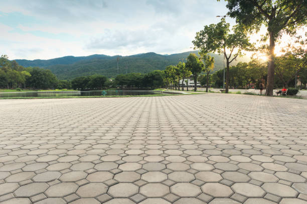 Best Decorative Driveway Pavers  in Port Byron, IL